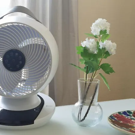 Schaake Schillig- Modernes Allergiefreies Ferienapartment Mit Parkplatz Daire *