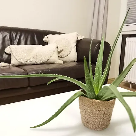 Schaake Schillig- Modernes Allergiefreies Ferienapartment Mit Parkplatz Apartament Schillig