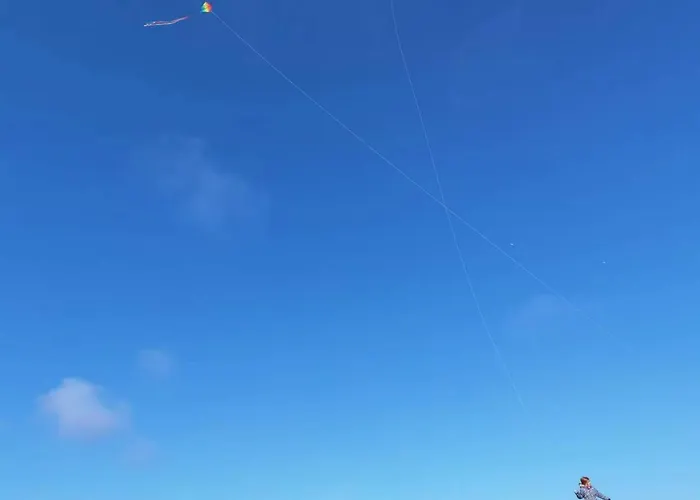 Apartamento Schaake Schillig- Modernes Allergiefreies Ferienapartment Mit Parkplatz