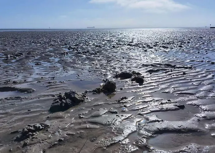 Schaake Schillig- Modernes Allergiefreies Ferienapartment Mit Parkplatz Daire Schillig