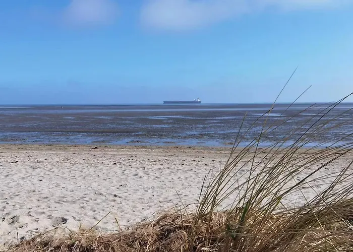 Daire Schaake Schillig- Modernes Allergiefreies Ferienapartment Mit Parkplatz Schillig