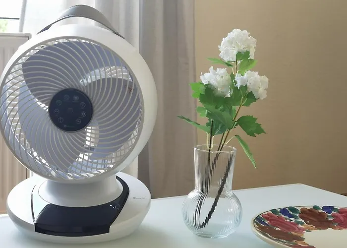 Schaake Schillig- Modernes Allergiefreies Ferienapartment Mit Parkplatz Daire *