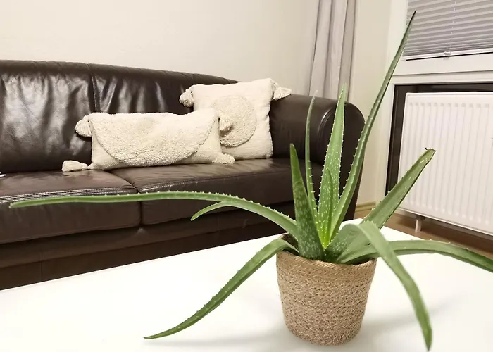 Schaake Schillig- Modernes Allergiefreies Ferienapartment Mit Parkplatz Apartamento Schillig